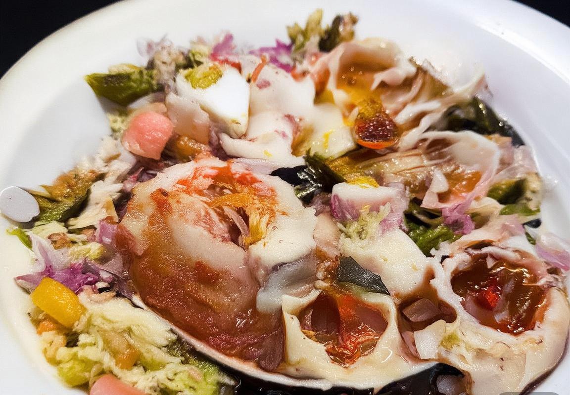 弗拉霍维奇：足球天才的崛起与未来影响解析